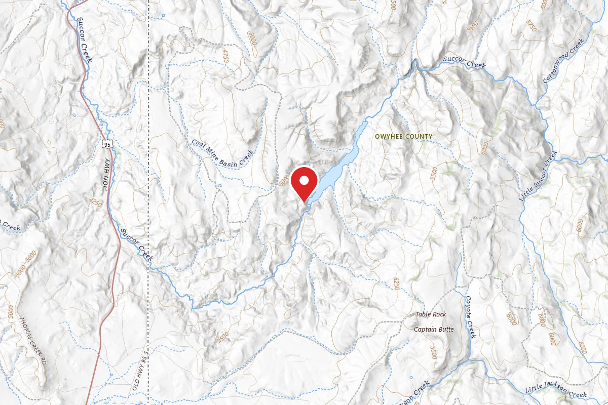 Succor Creek Reservoir Dispersed Camping