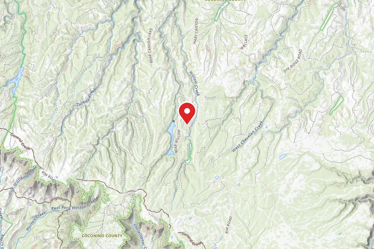 Bear Willow Road Dispersed Camping