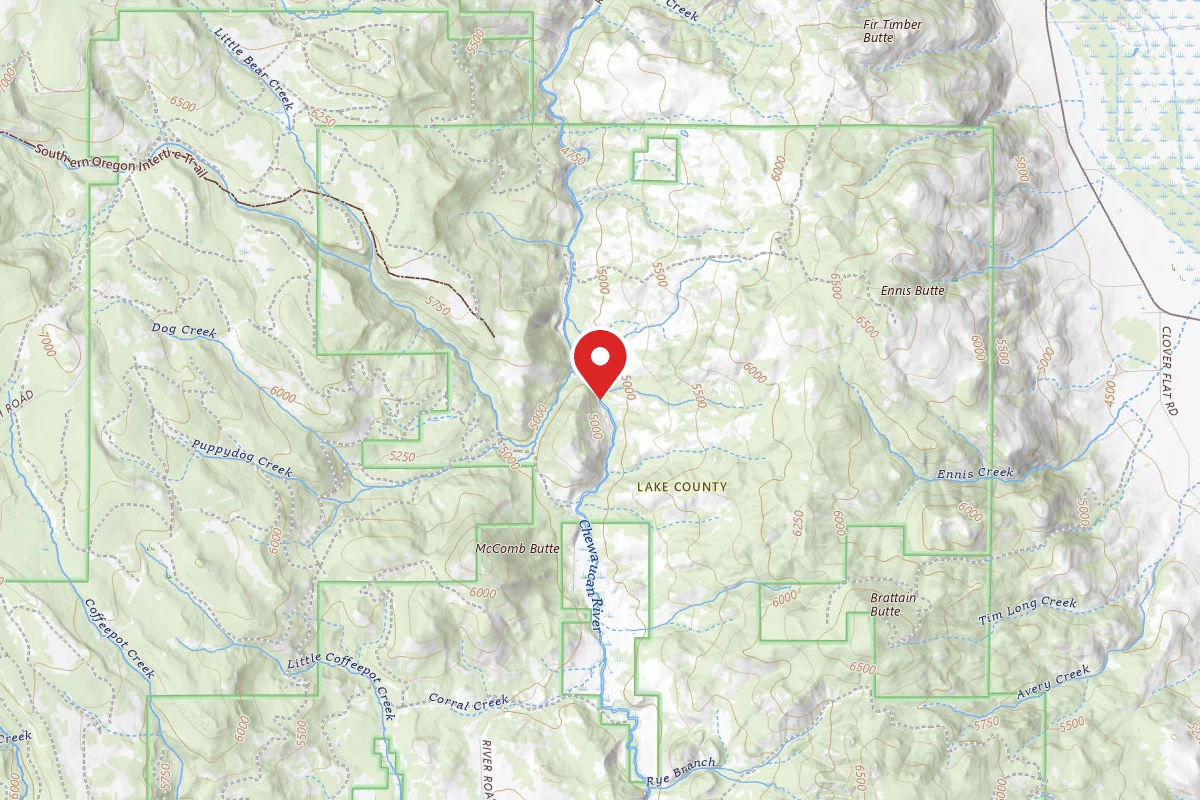 Jones Crossing Forest Camp