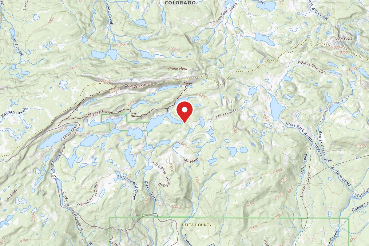 Fish Hawk Campground