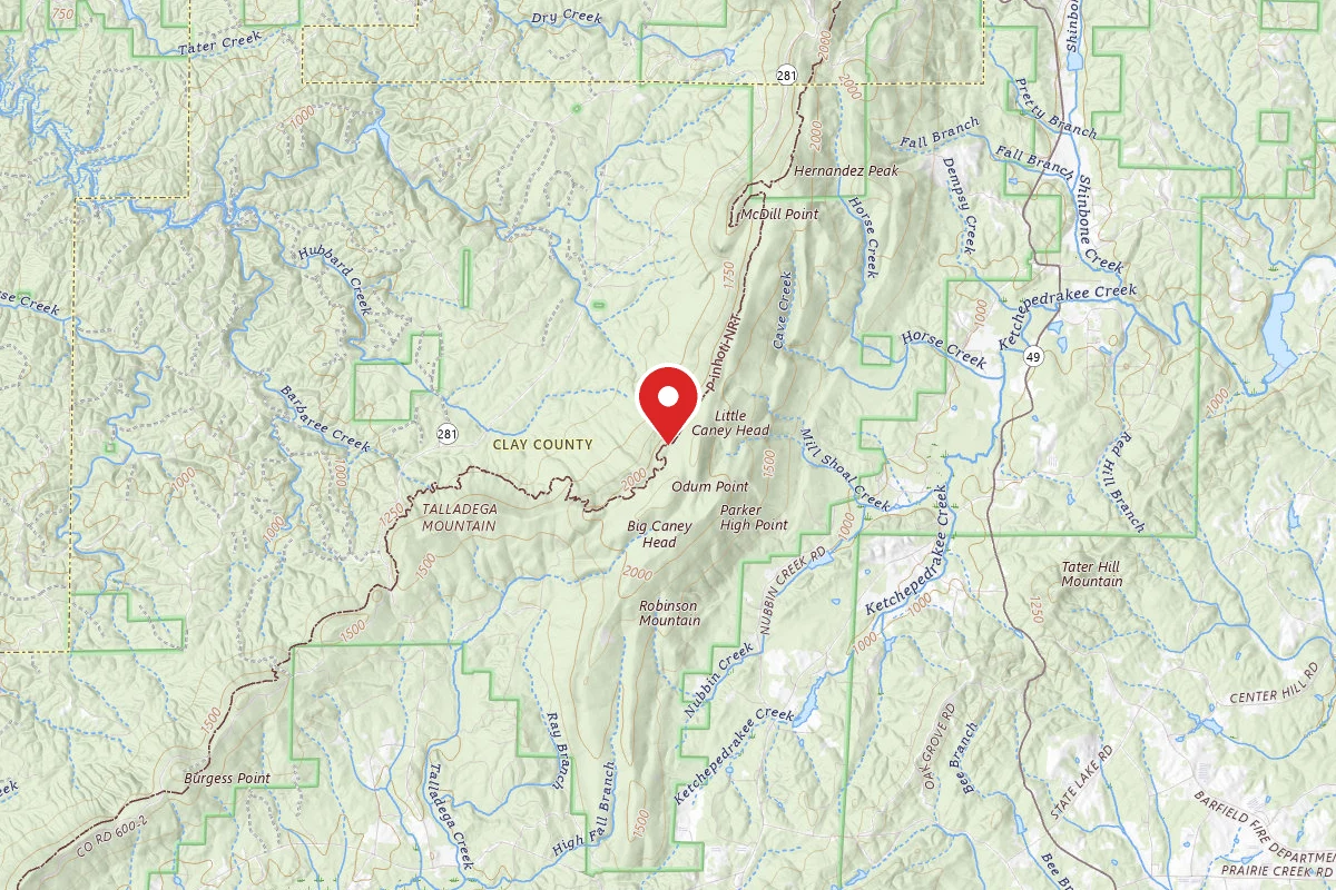Pinhoti Backcountry Campground near Odum Intersection