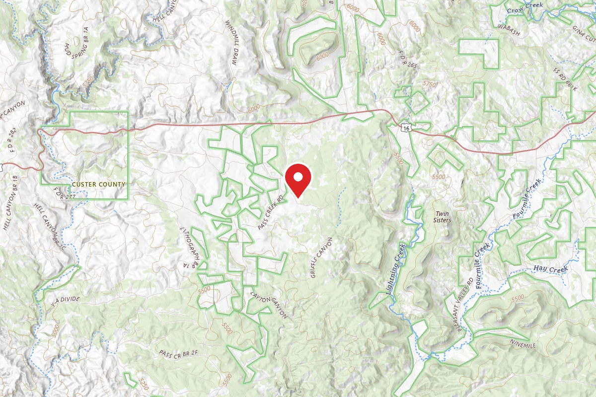 Black Hills NF FR307 Dispersed Camping