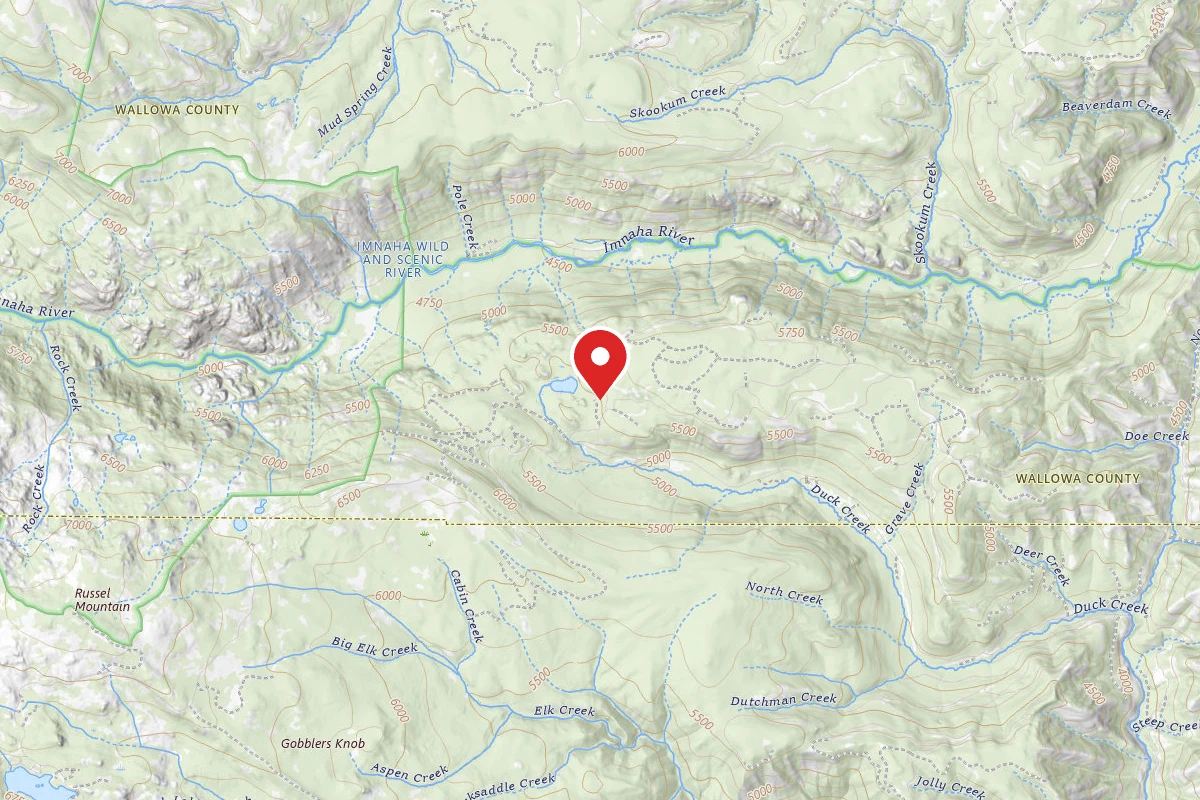 NF 3980 Road - Dispersed Site