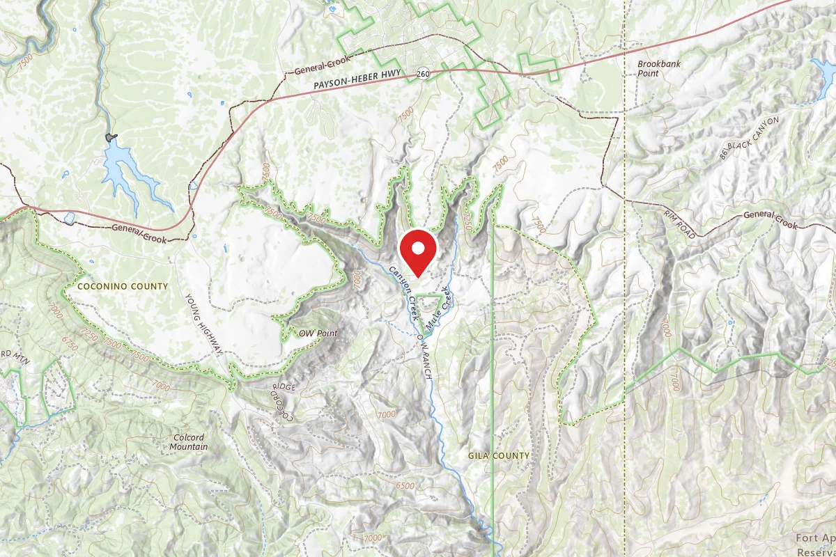 Upper Canyon Creek Dispersed Camping Area