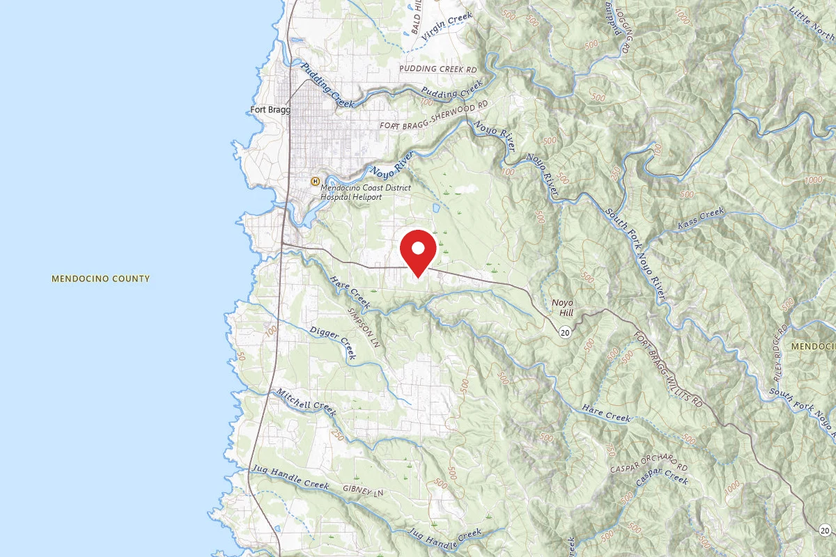 Redwood Coastal Camp