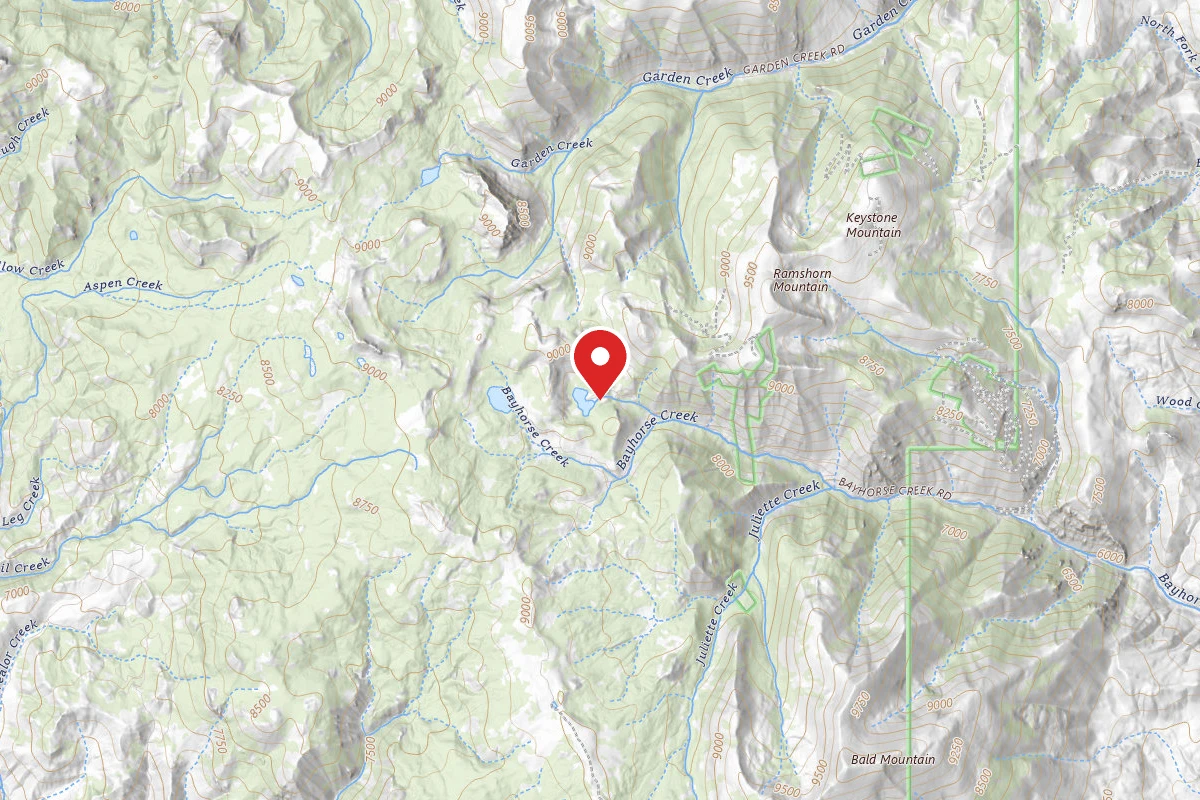 Challis National Forest Little Bayhorse Campground