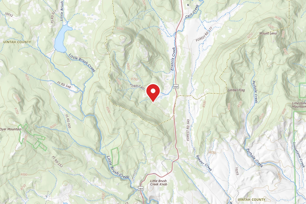 Grizzly Ridge Meadow Dispersed Area