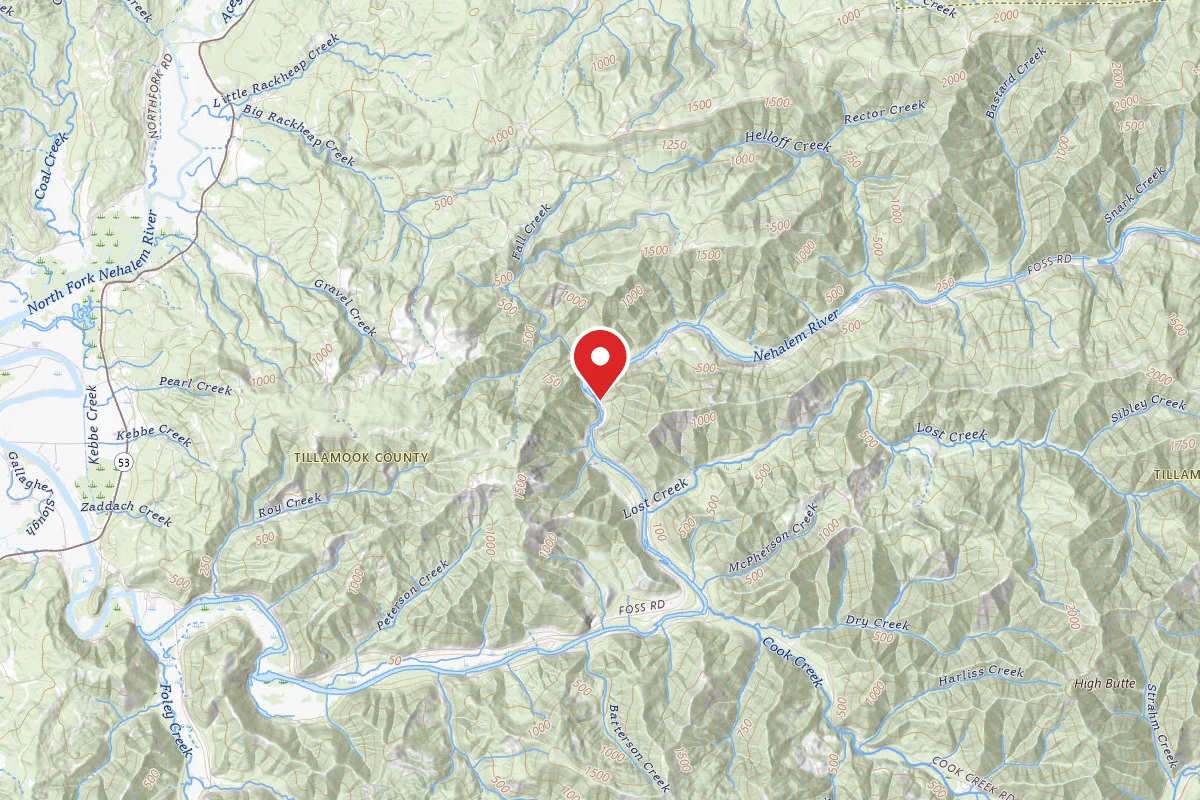 Tillamook State Forest Nehalem Falls Campground