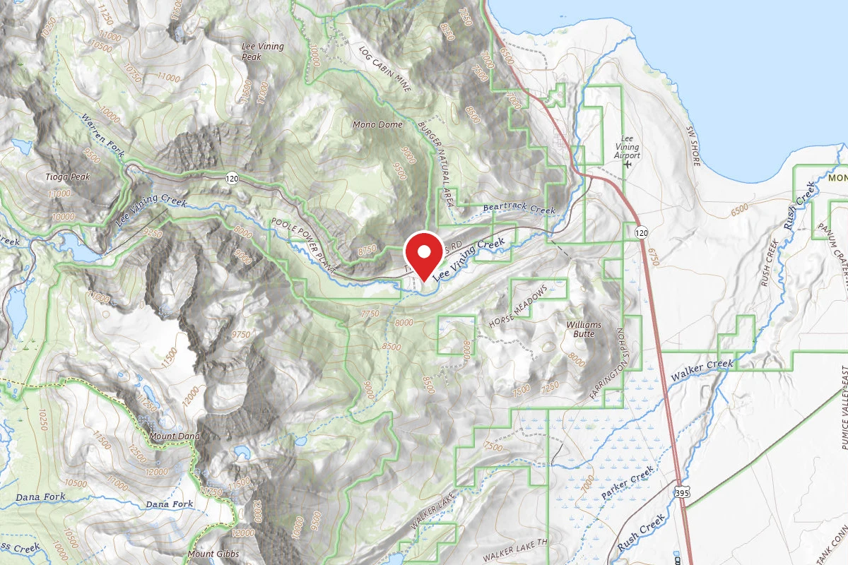 Lower Lee Vining Campground