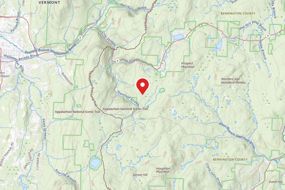 NFR 273 Dispersed Camping Spot
