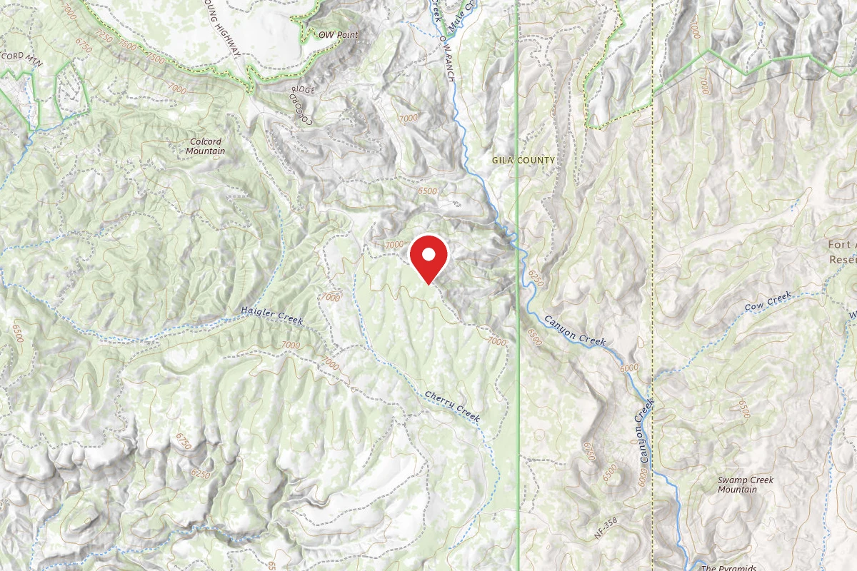 FR738 Dispersed Camping