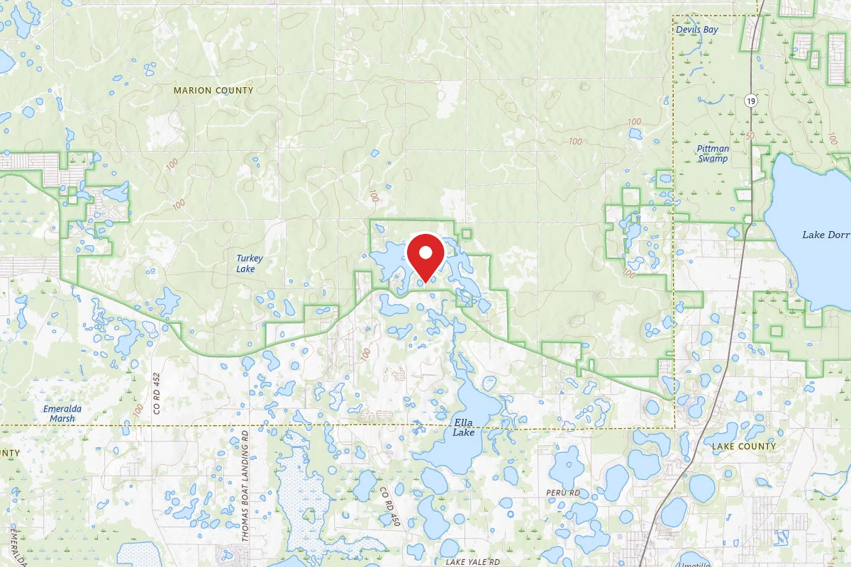 Ocala Forest Campground