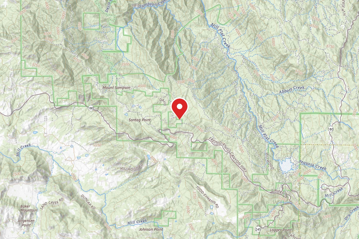 Sequoia Forest Hunting Area - FS 13597