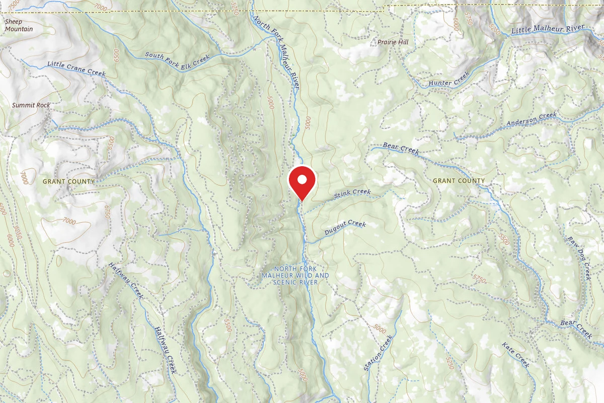 North Fork Malheur