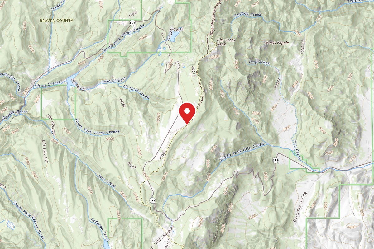 Tushar Mountain Dispersed Area