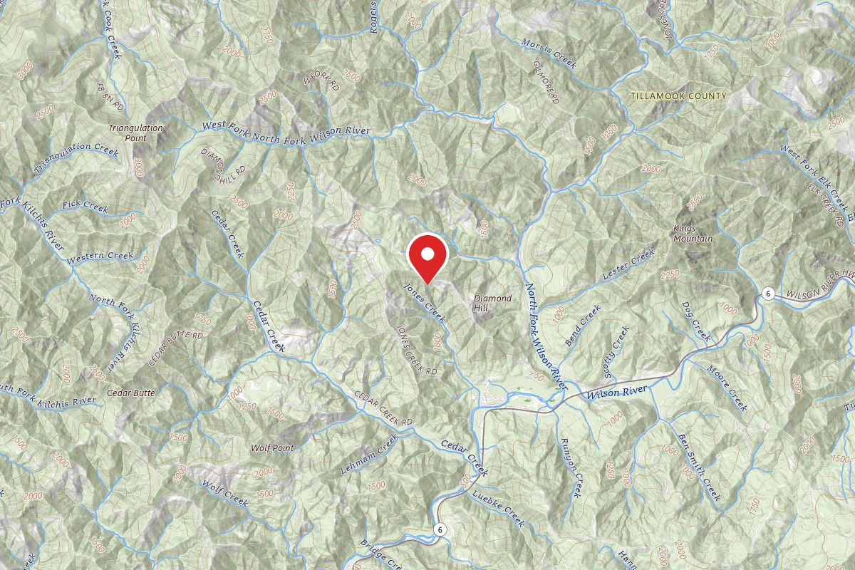 Tillamook State Forest Dispersed Camping