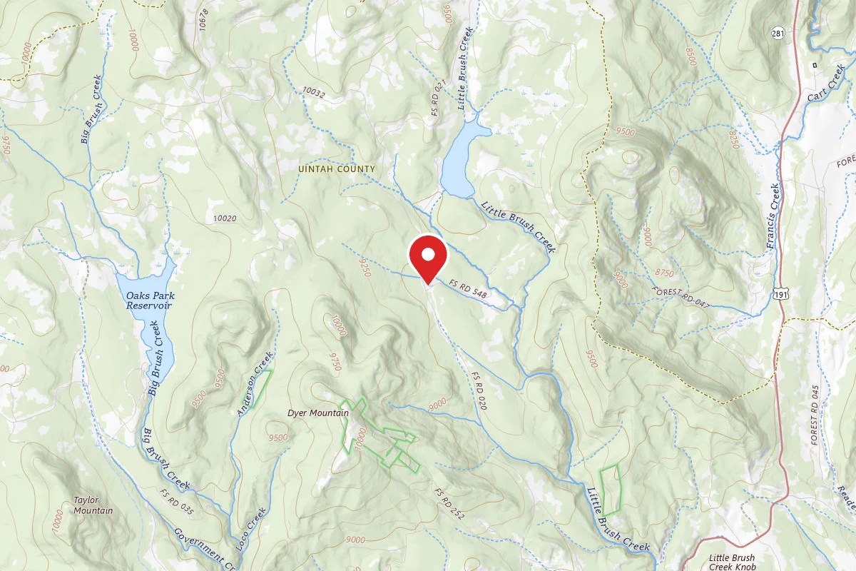 Dyer Park FS Rd #547 Dispersed Camping Area
