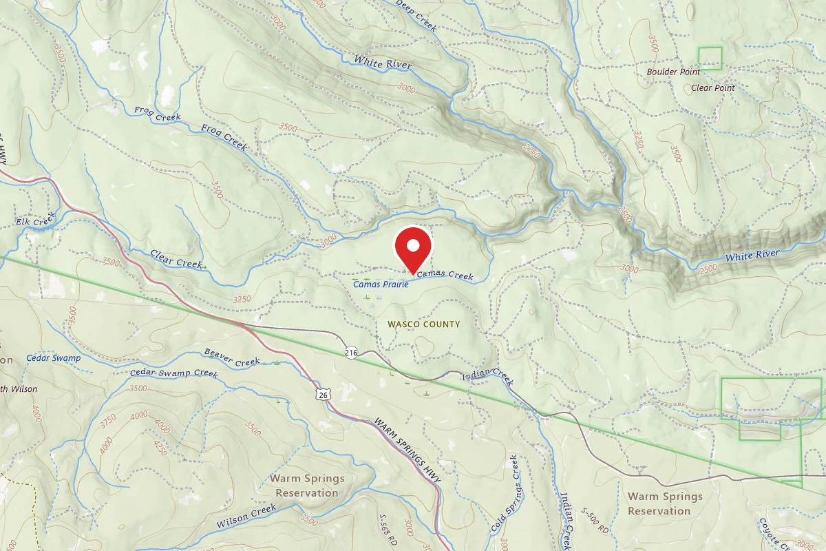 Camas Prairie Dispersed Campsite