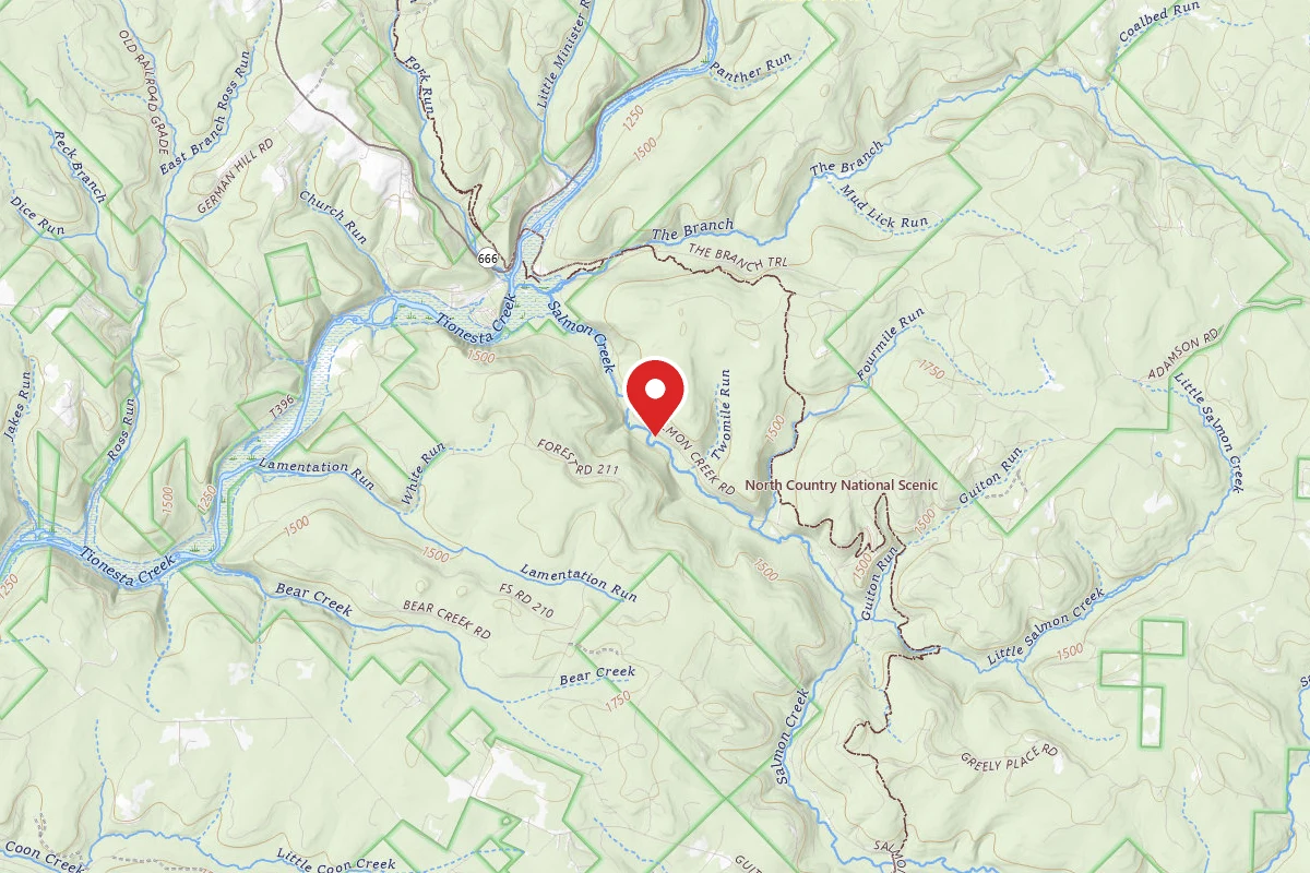 Salmon Creek Dispersed