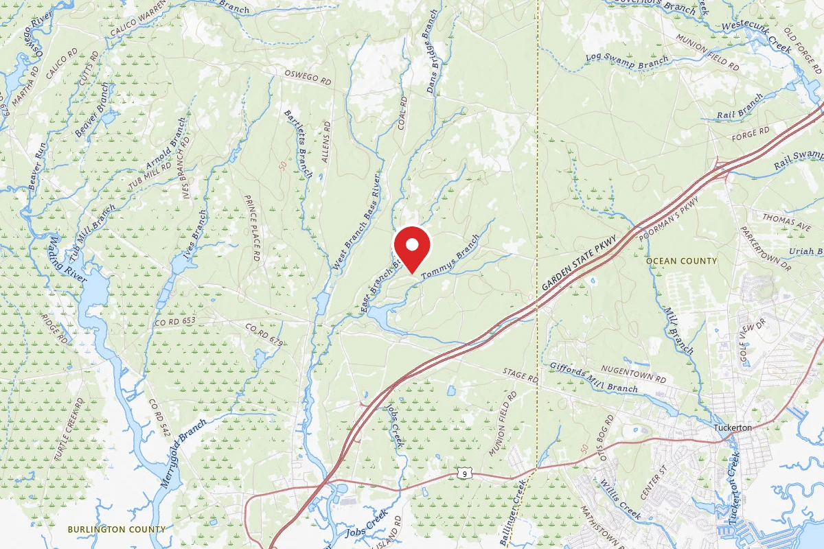 Bass River State Forest