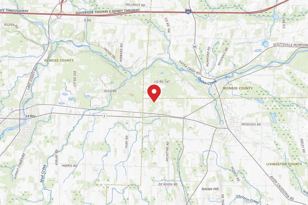 Genesee Country Campground
