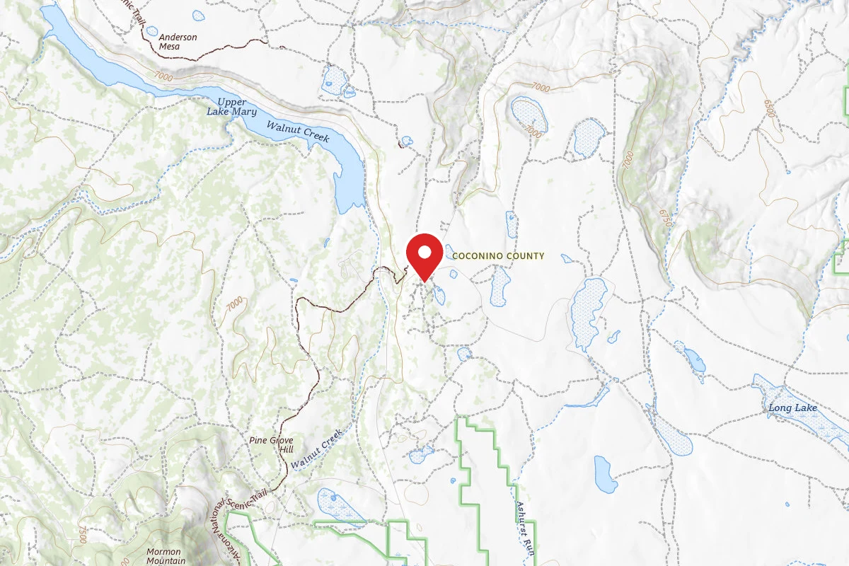 Dispersed Camping Coconino