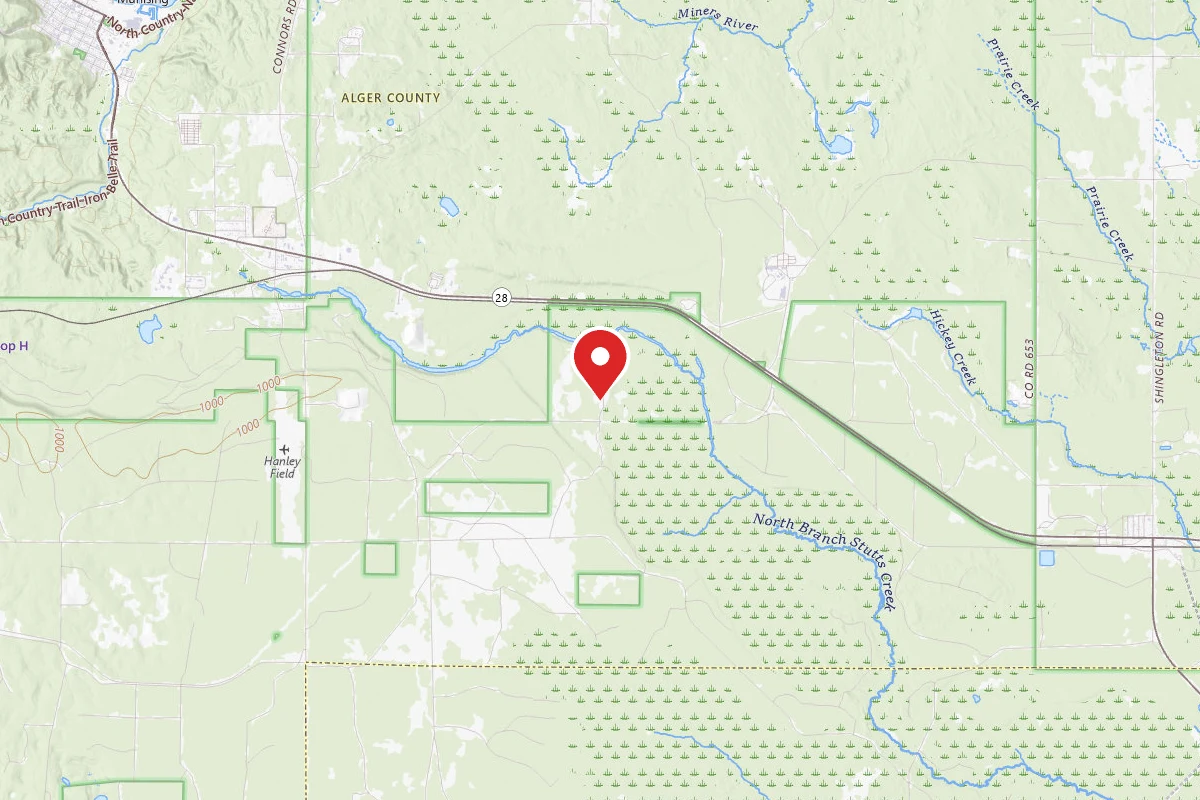 Coalwood Trail - Dispersed Campsite