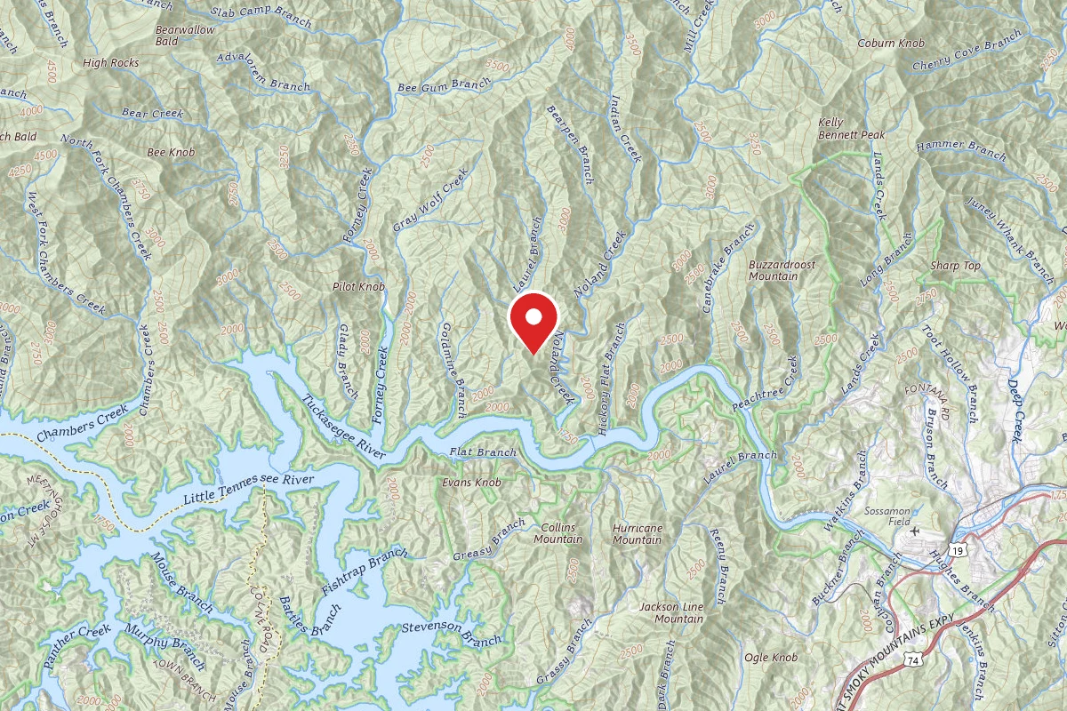 Site 67 -- Goldmine Branch (GSMNP)