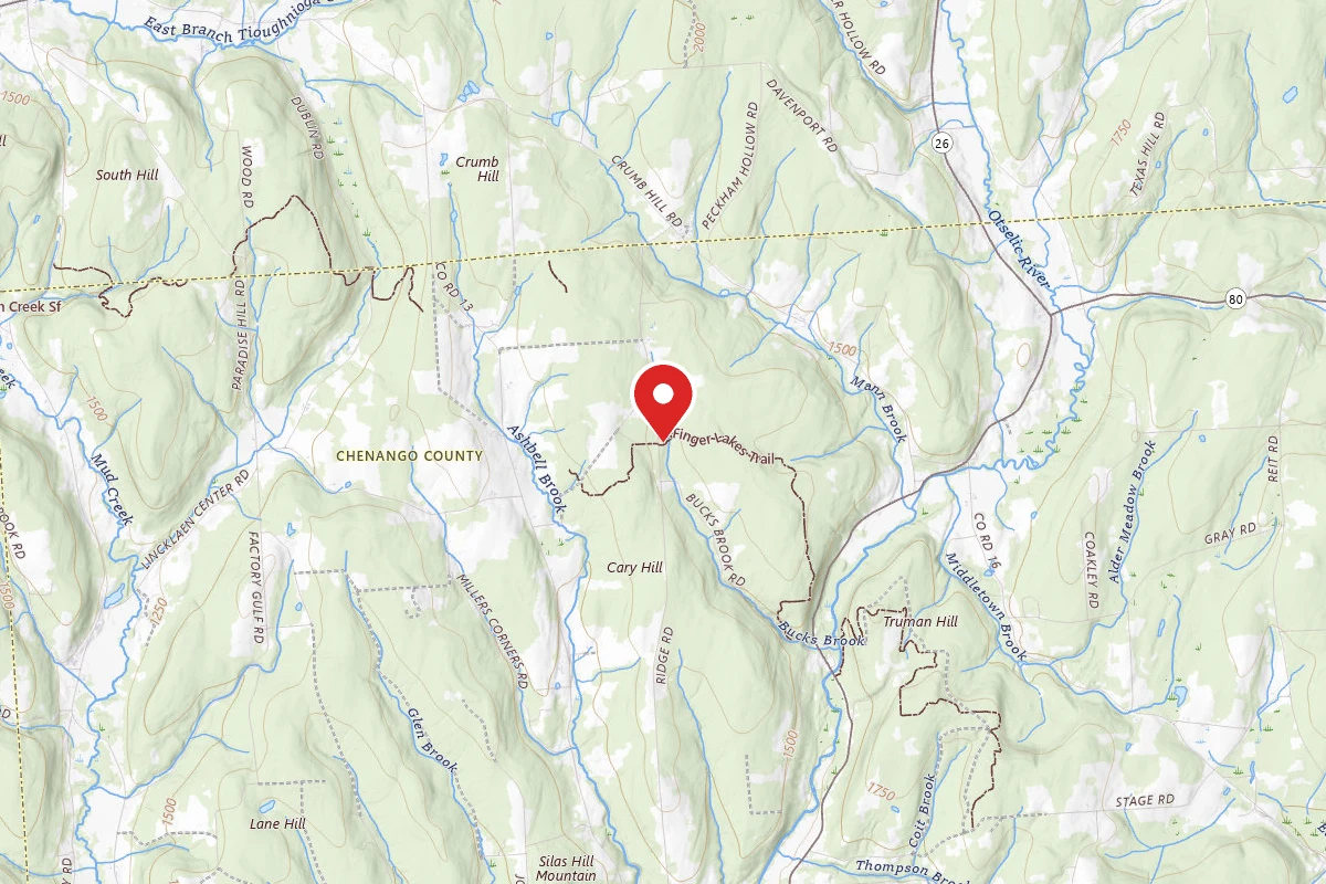 Bucks Brook State Forest Primitive Tent Site