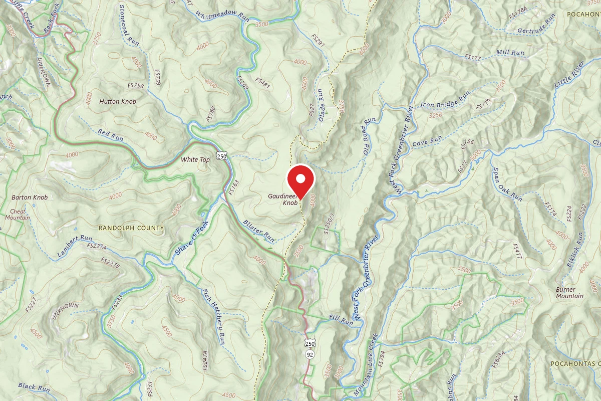Gaudineer Knob camp sites