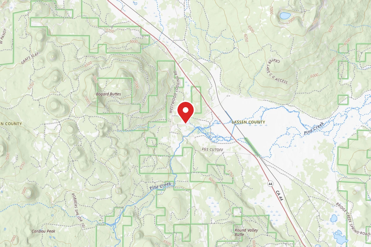 Bogard USFS Dispersed