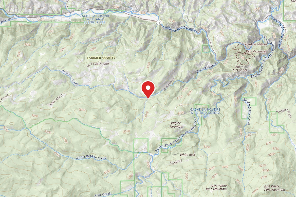 Pingree Road Dispersed Camping