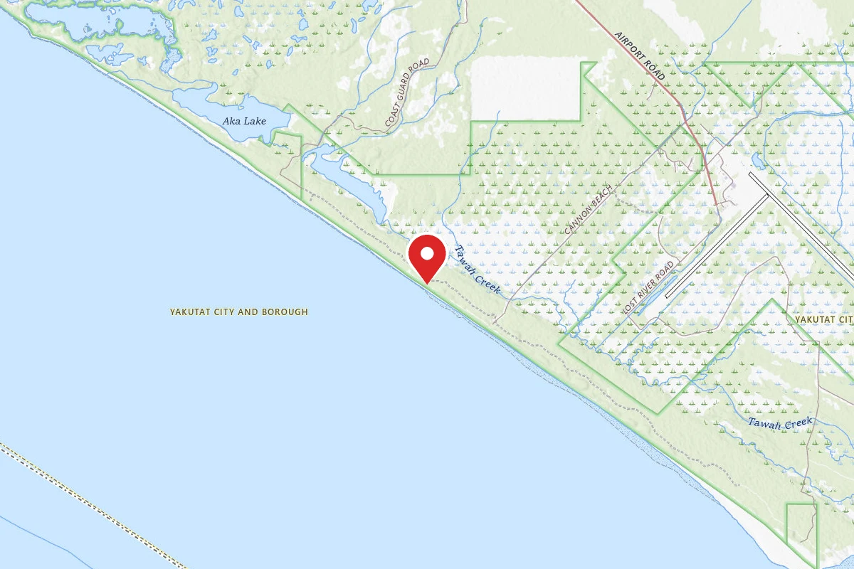 Yakutat Beach Campsite 1