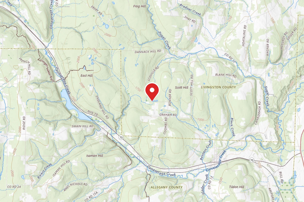 Ossian State Forest