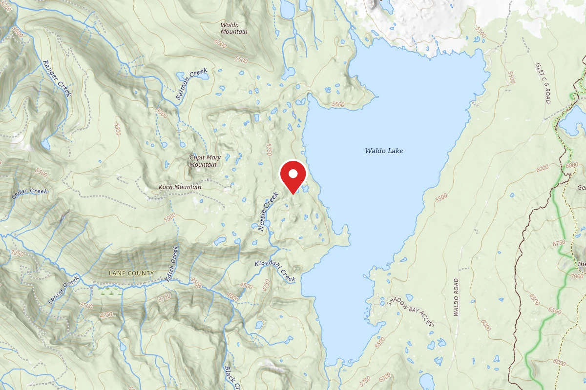 Waldo Lake Area