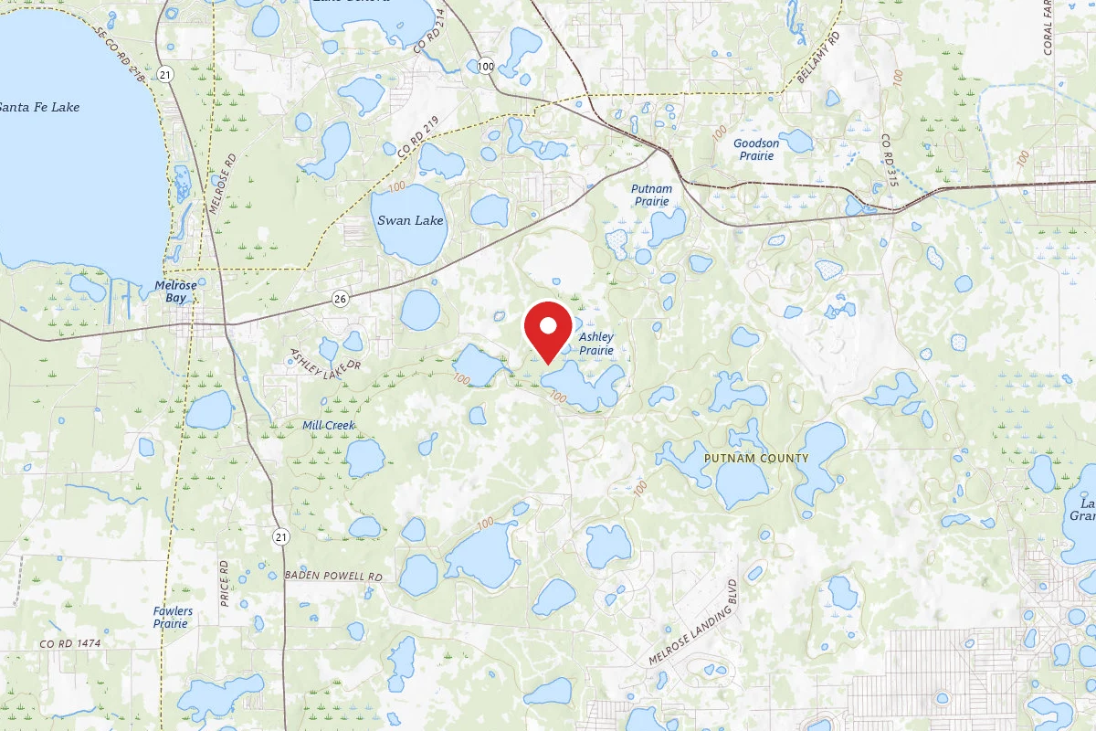 Ordway-Swisher Biological Station