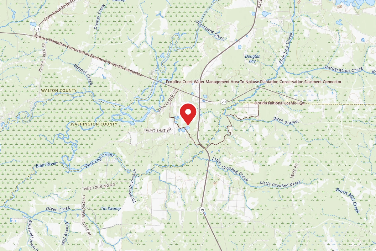 Sand Pond Campground - Pine Log State Forest