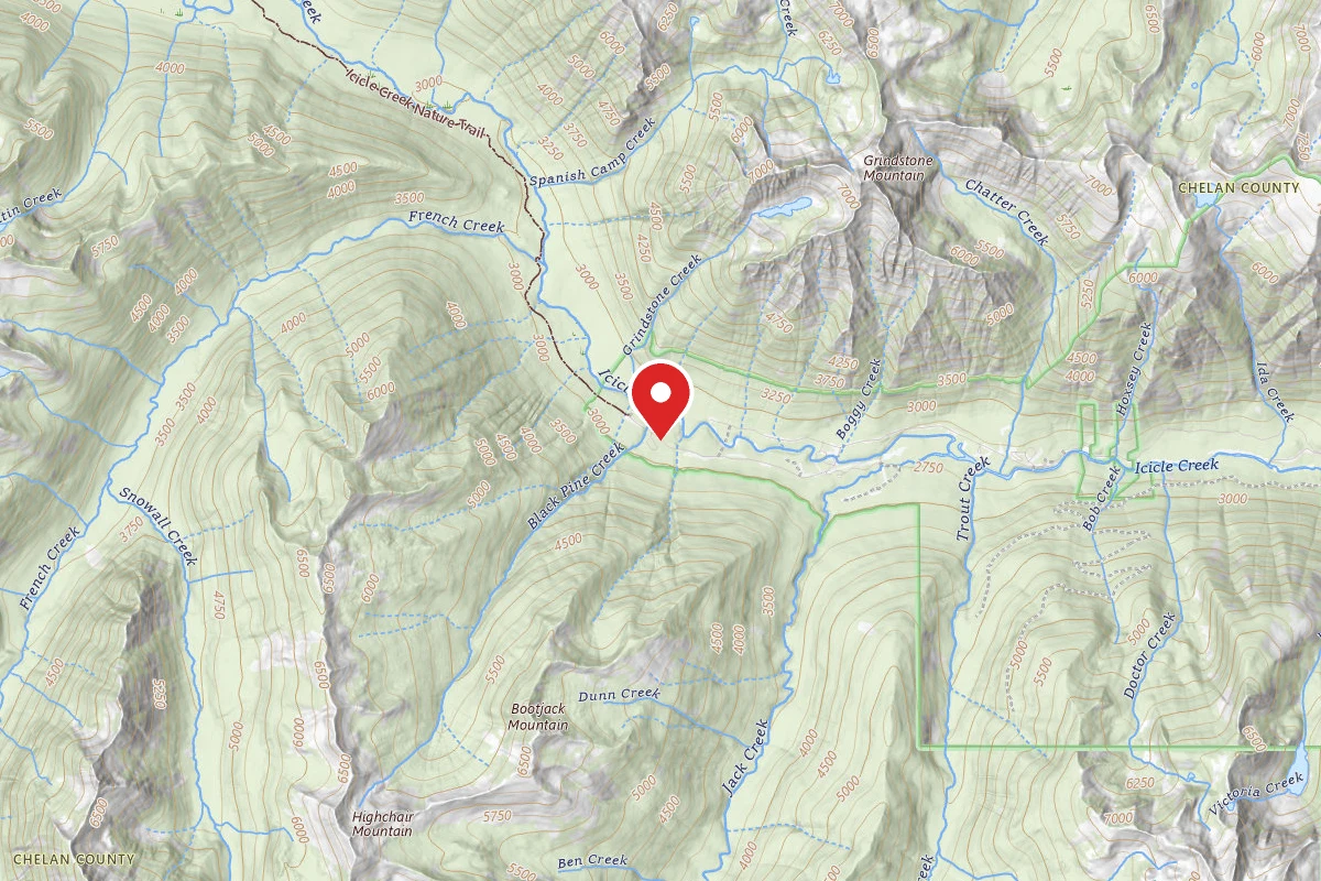 Black Pine Horse Camp