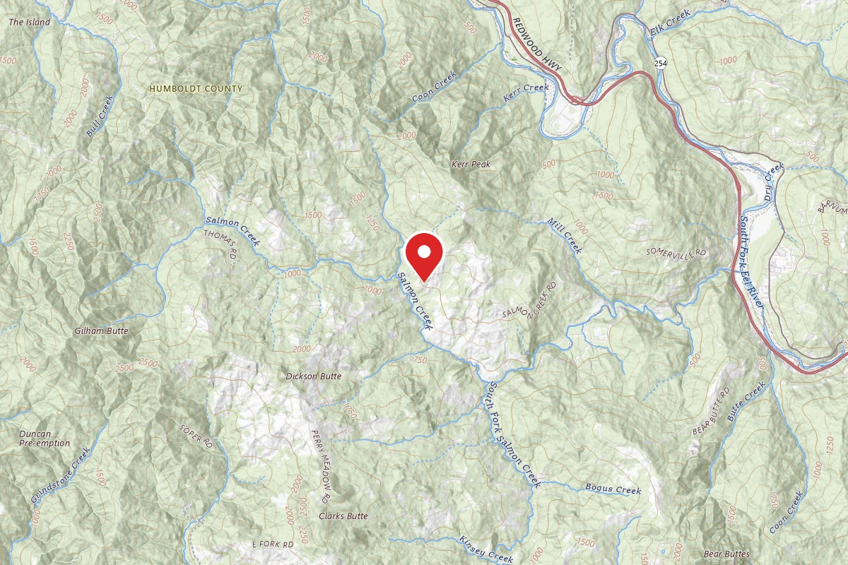 Burlington - Humboldt Redwoods State Park
