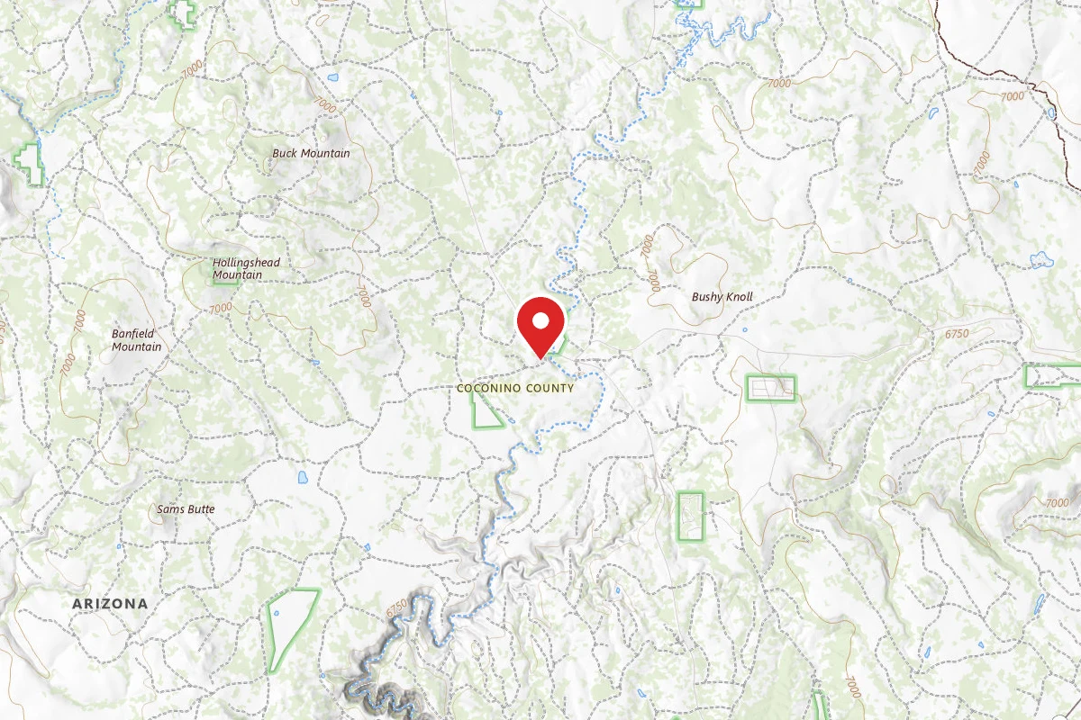 Forest Service Rd 81