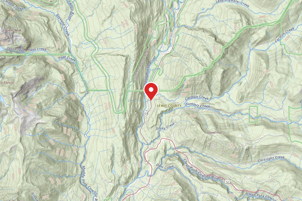 FS Road 44 Dispersed