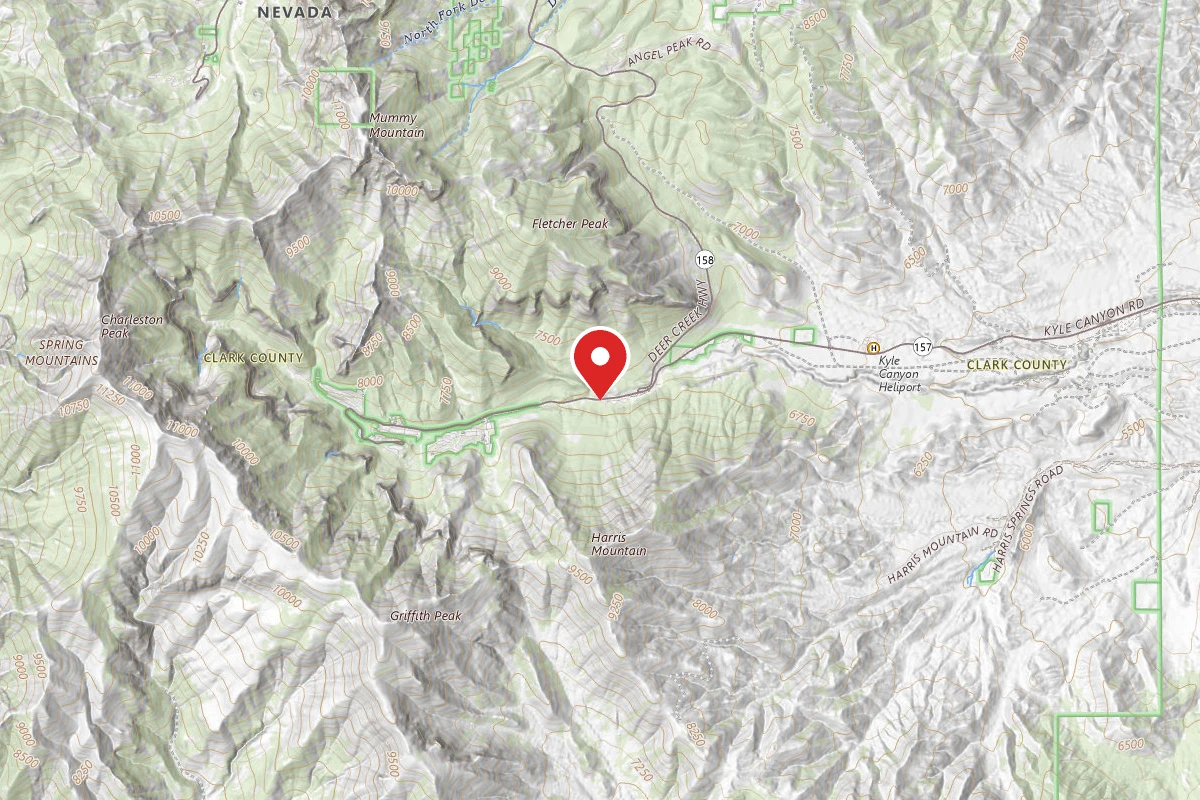 Kyle Canyon Campground