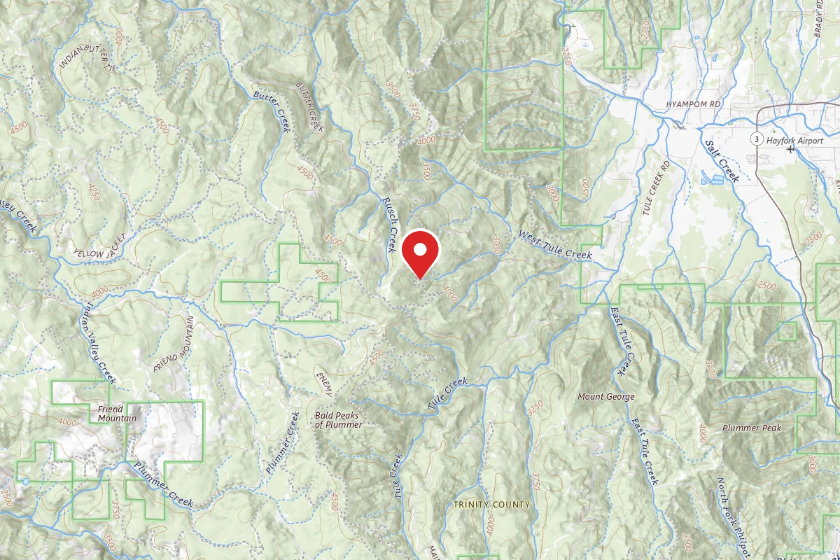 Hayfork Area