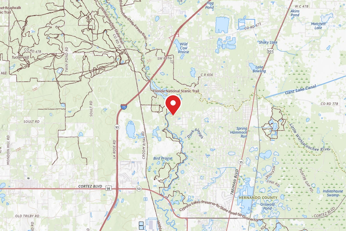 River Junction - Withlacoochee State Forest