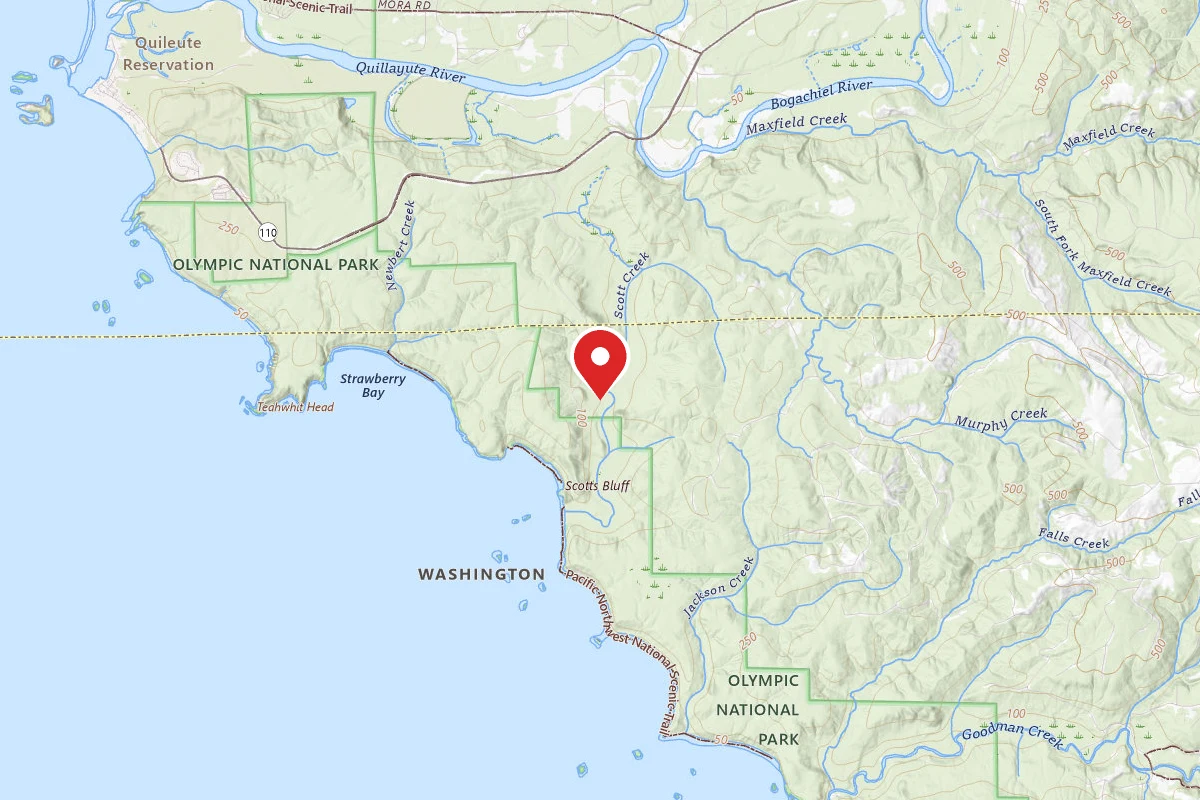 Scott's Creek Camping