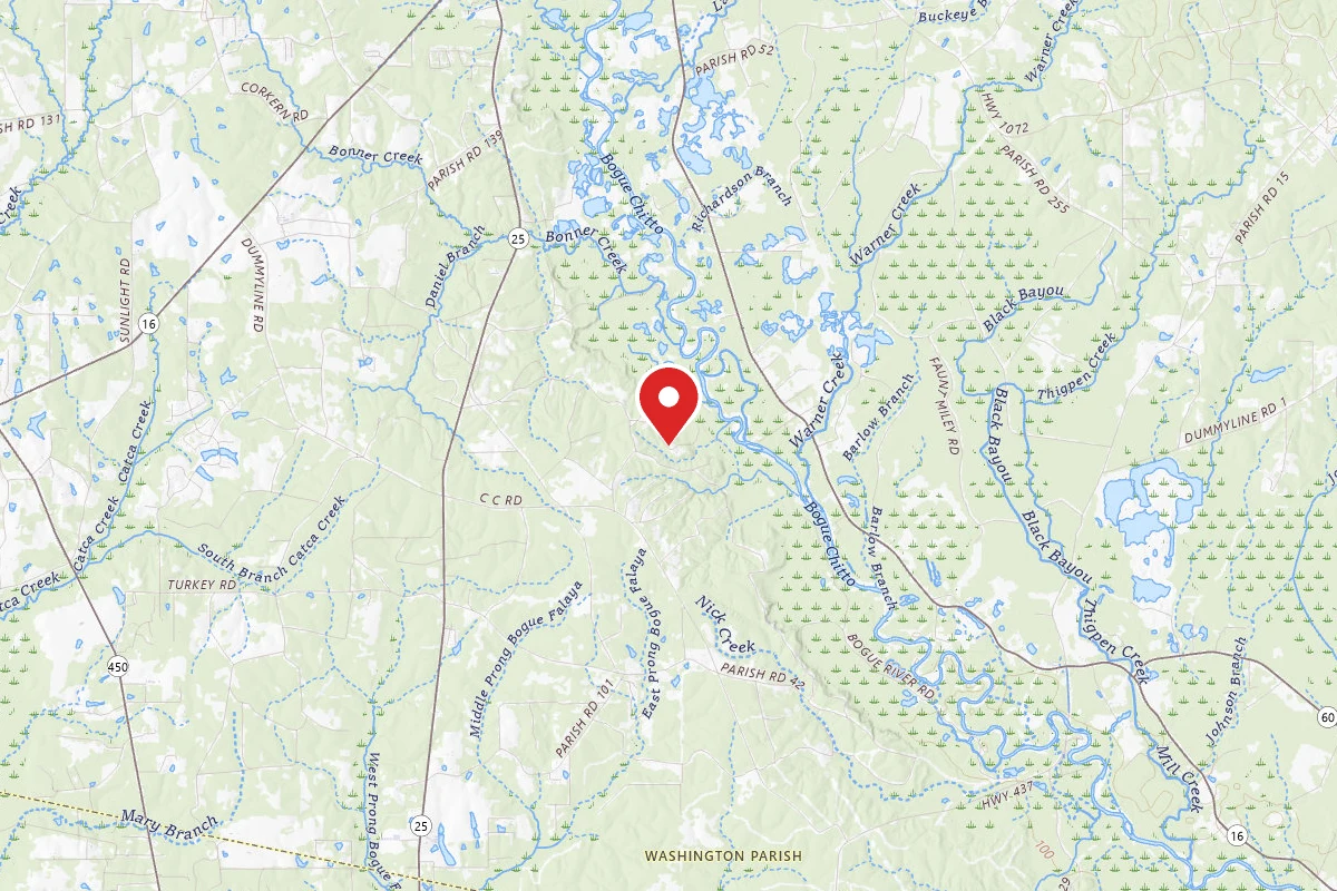 Tentrr State Park Site - Louisiana Bogue Chitto State Park - Bike Trail D - Single Camp