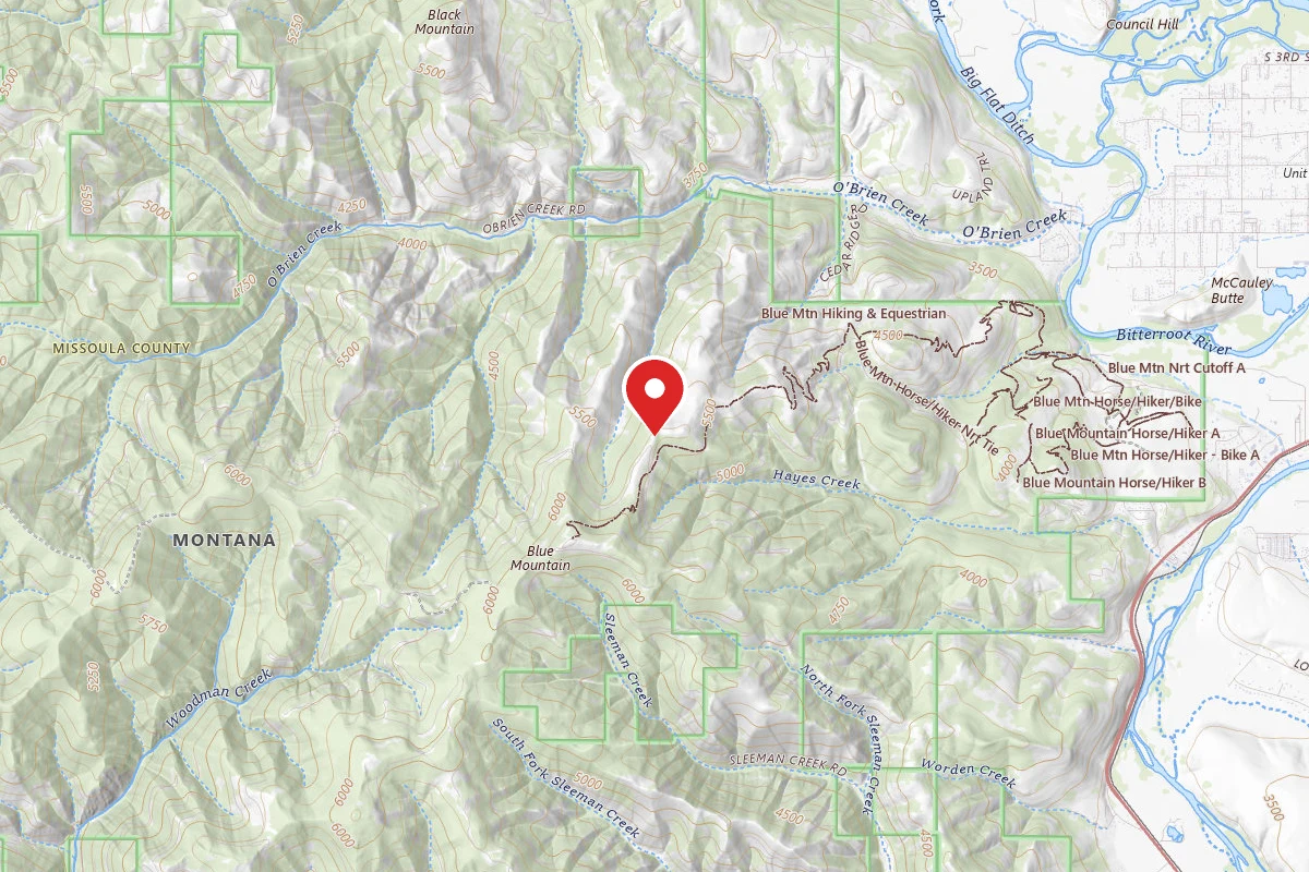 Blue Mountain Forest Rd 365 - Dispersed