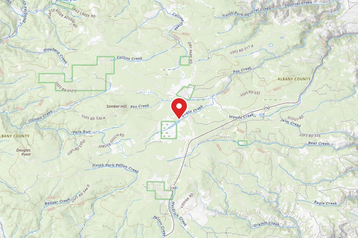 Miller Lake Dispersed Campground