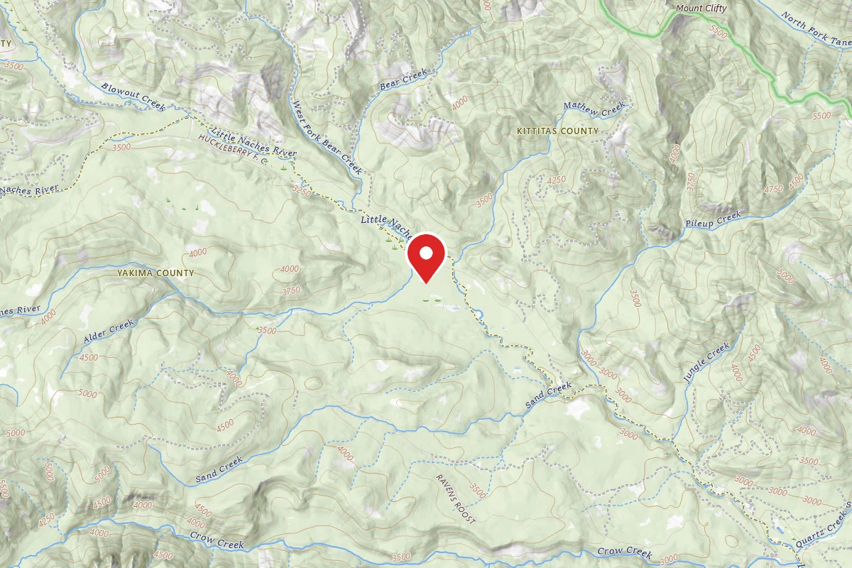 Longmire Meadow Dispersed Camping