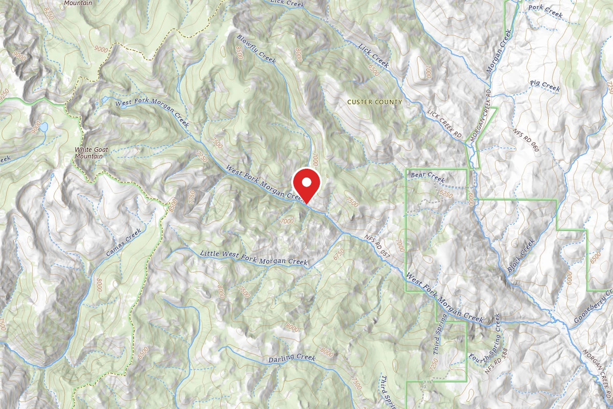 Blowfly Campground